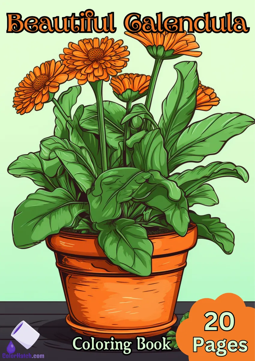 Calendula Coloring Book